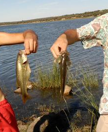 Plataforma de Aficionados a la Pesca [P.A.P.]