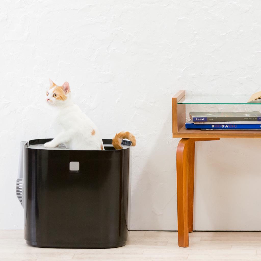 modkat litter box sale