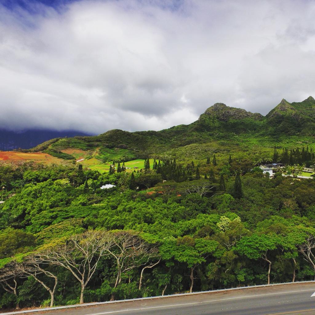 Back home in Hawaii.