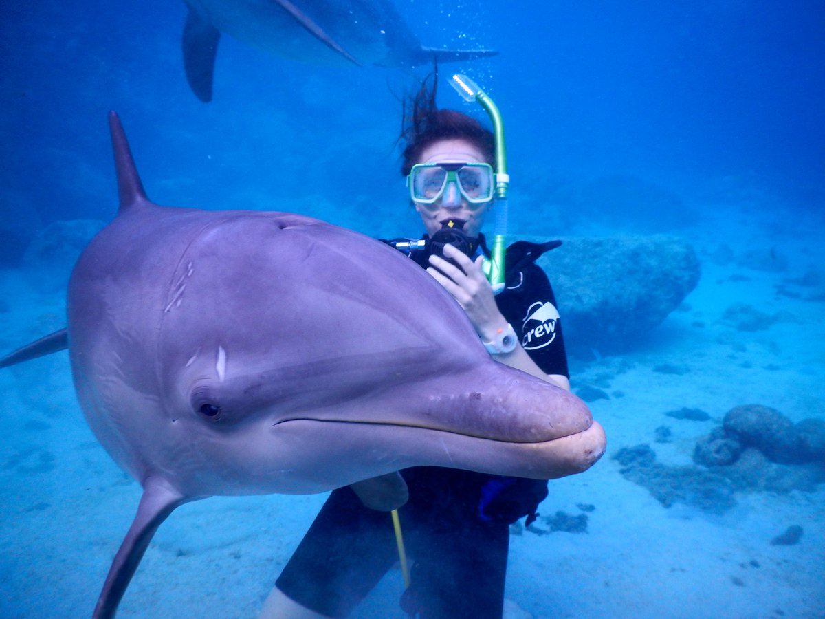 TessaAbigail's tweet image. Definitely #fieldworkwin. But beware, tremendously curious (and destructive)! Bye, bye camera, #fieldworkfail?