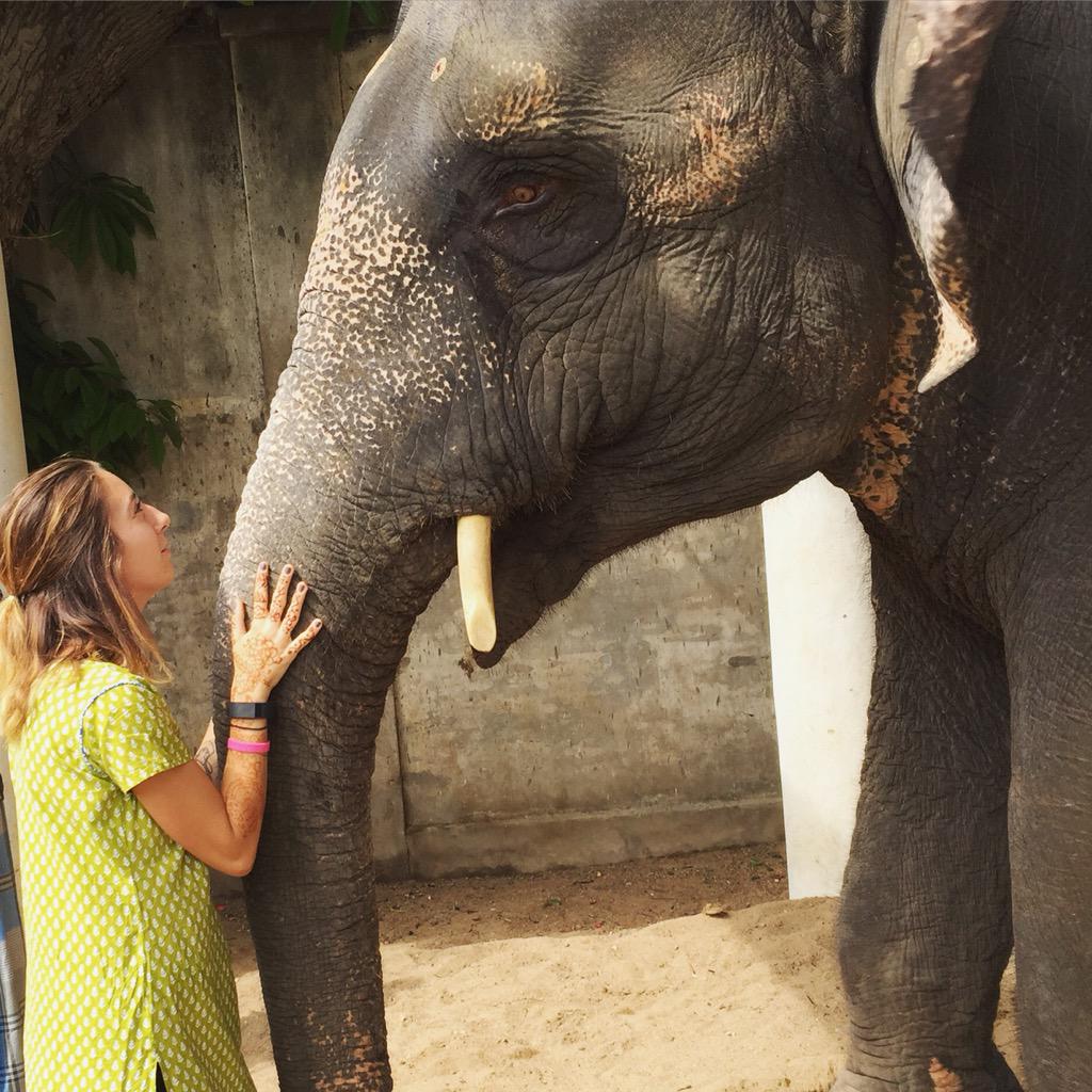 lowilIis's tweet photo. I feel like I've been gone forever yet these past 10 days have been some of the best 10 days of my life 🐘👧🏾👦🏾💕🇮🇳 http://t.co/x5HwEkS0BV