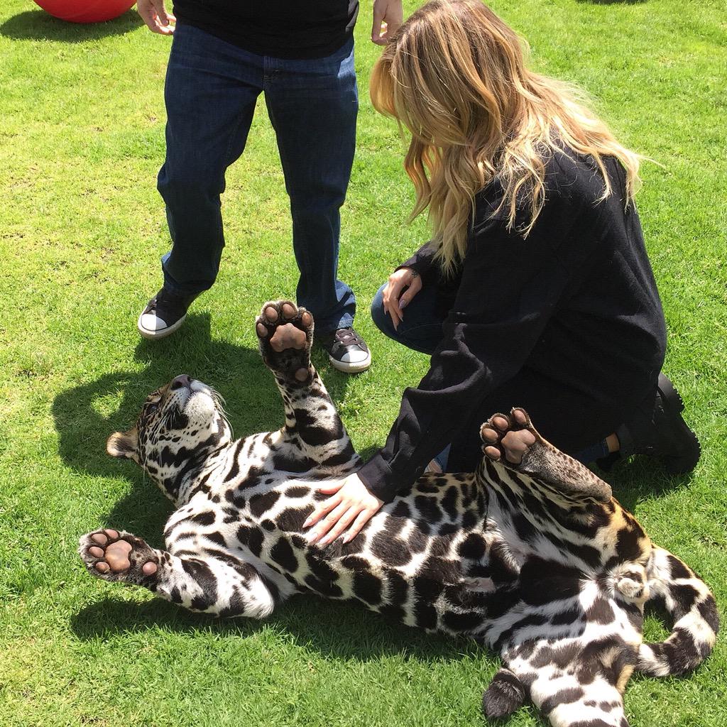 khloekardashian's tweet photo. Things I've only dreamed of..... @blackjaguarwhitetiger http://t.co/OUmaA7hT0E