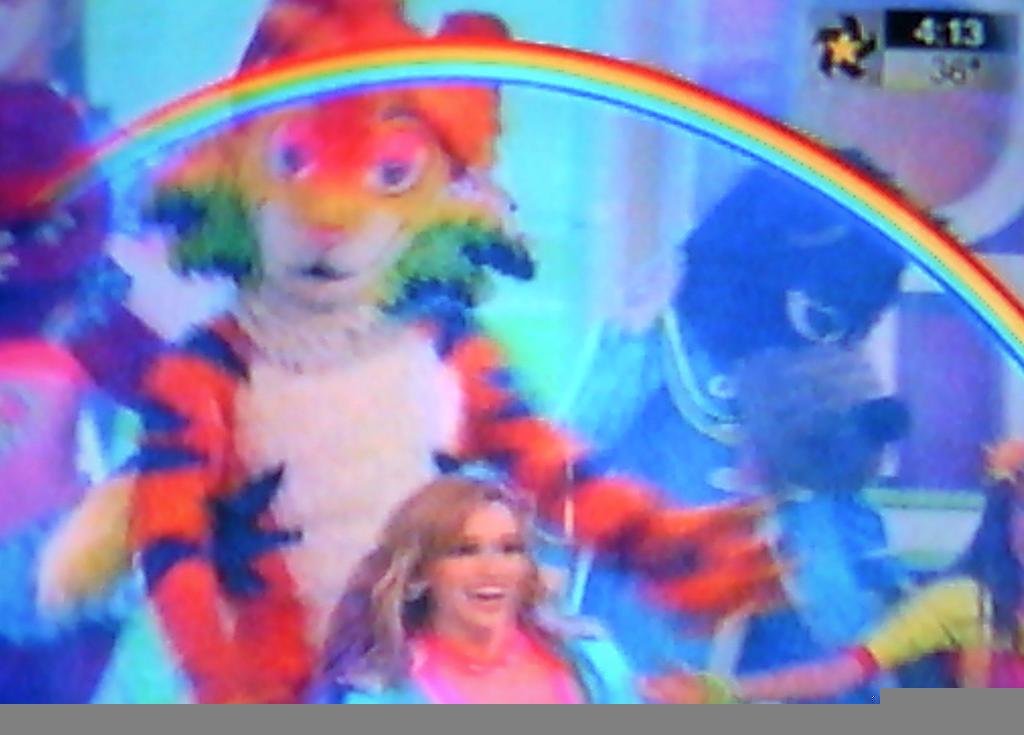 FanDeMarinaa's tweet photo. Gato, gato de color🎶 @Marinadelagarza http://t.co/6oO1qkv0Iy