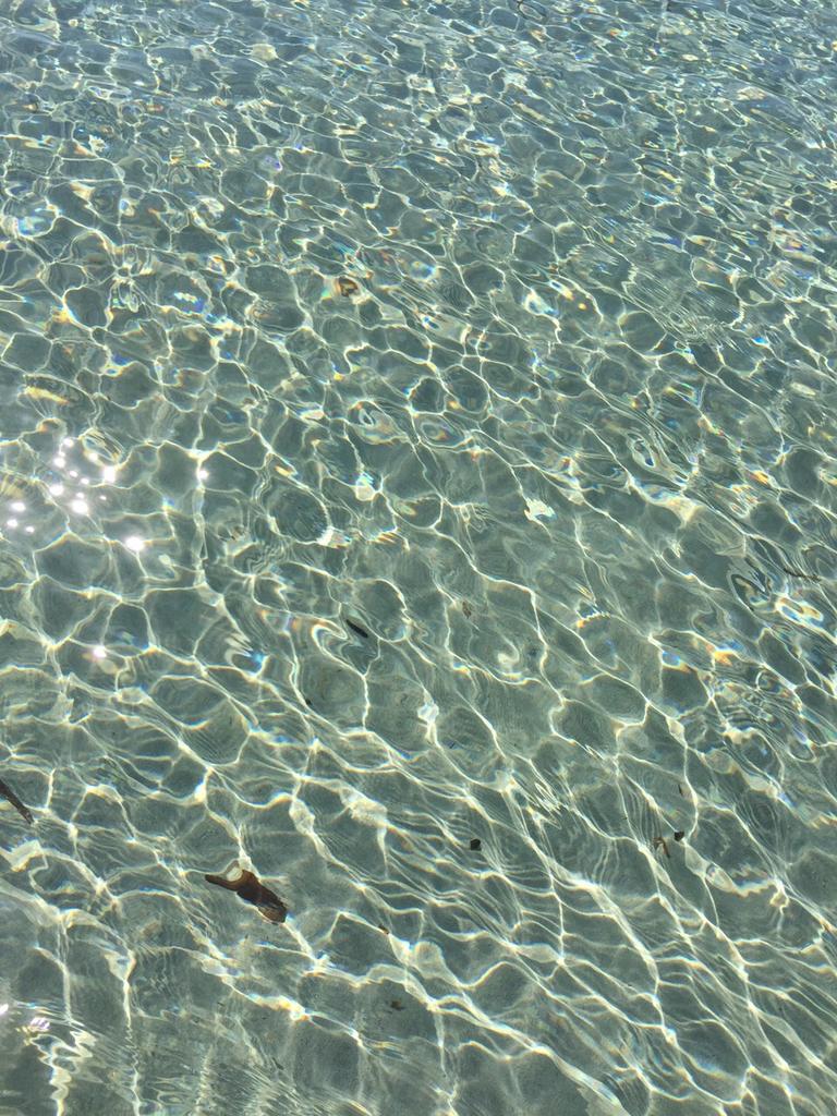 Agenzia_PLUS's tweet photo. โ@GiuseppeTurrisi: #CapoFeto, Trapani
(#agosto 2015 - ph.by #AnimaLunga)
#Estate #Sicilia http://t.co/bubnRtByNRโ #InfoSicily #Sicily