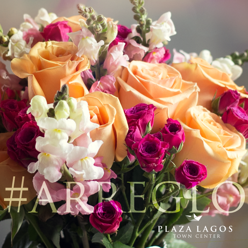 PlazaLagos's tweet photo. Visita #StudioFlora, encontrarás todo para un sorprendente obsequio! Te esperamos en #PlazaLagos #Samborondón http://t.co/BiJZyuv7qO