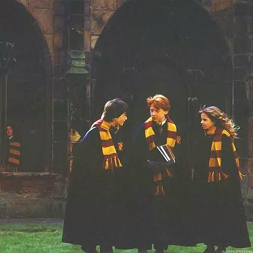 OtroPotter's tweet photo. #DeHarryPotterAprendí que la amistad tiene un gran poder. http://t.co/YapdU7V75z