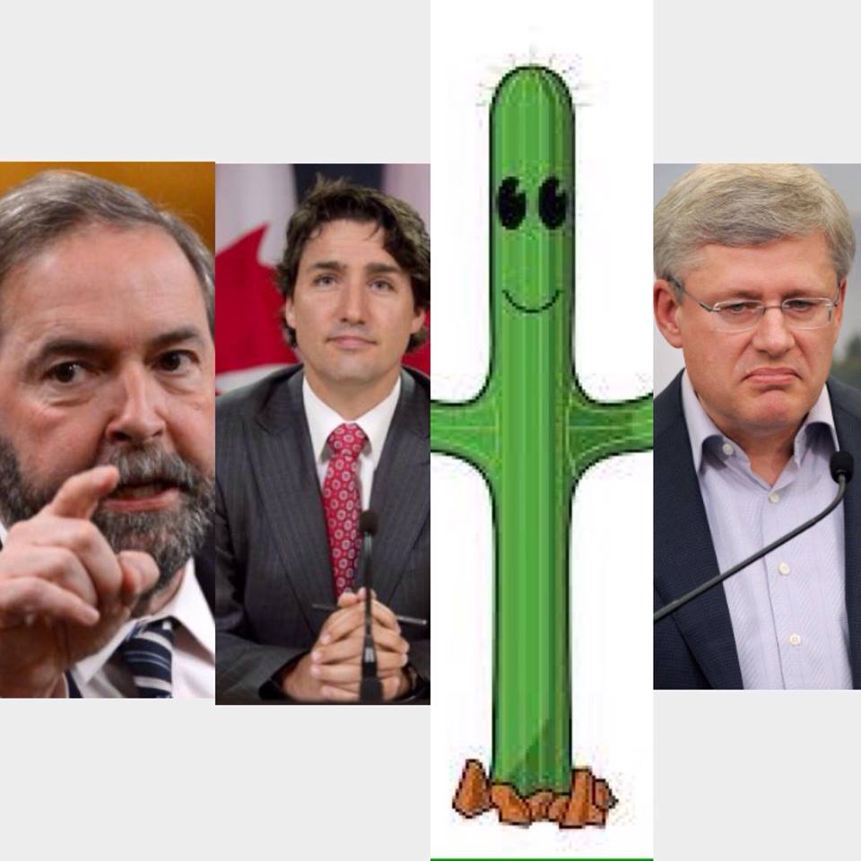 CactusForChange tweet picture