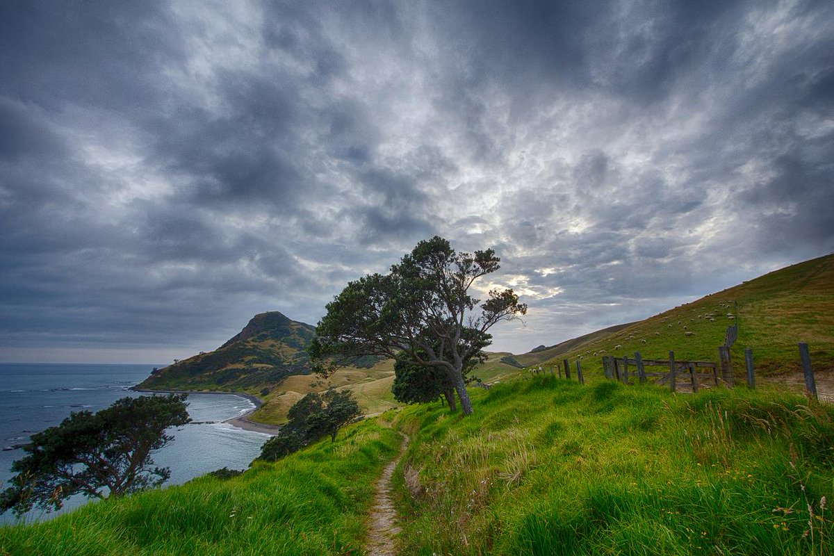 ContikiCanada's tweet photo. #AdventureCheck A nature geek's guide to New Zealand --> http://t.co/LlqEhBnrei #travel http://t.co/s8mZ9hCxnc