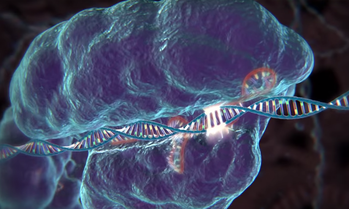 PopSci's tweet photo. Should bioethicists “get out of the way” of CRISPR research?
http://t.co/vbxFBobm0O http://t.co/aPVbBfYmsM