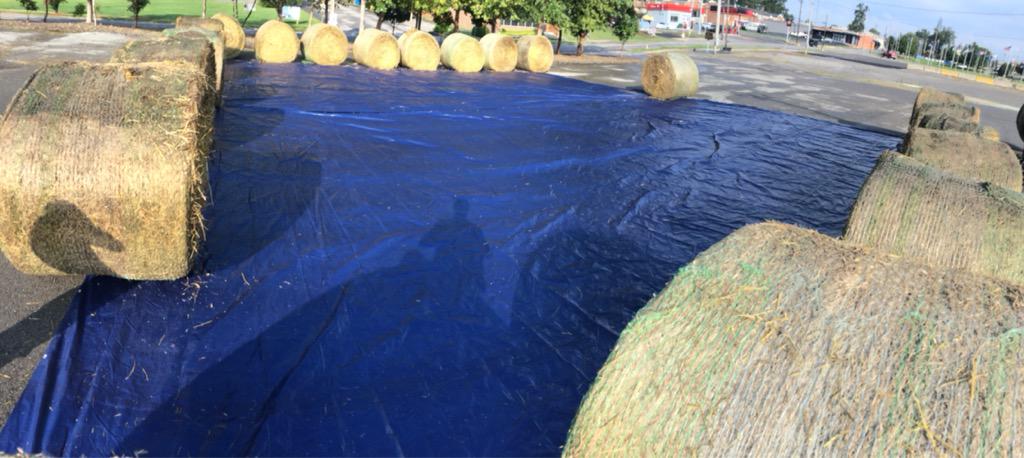 Travis Key tweet media