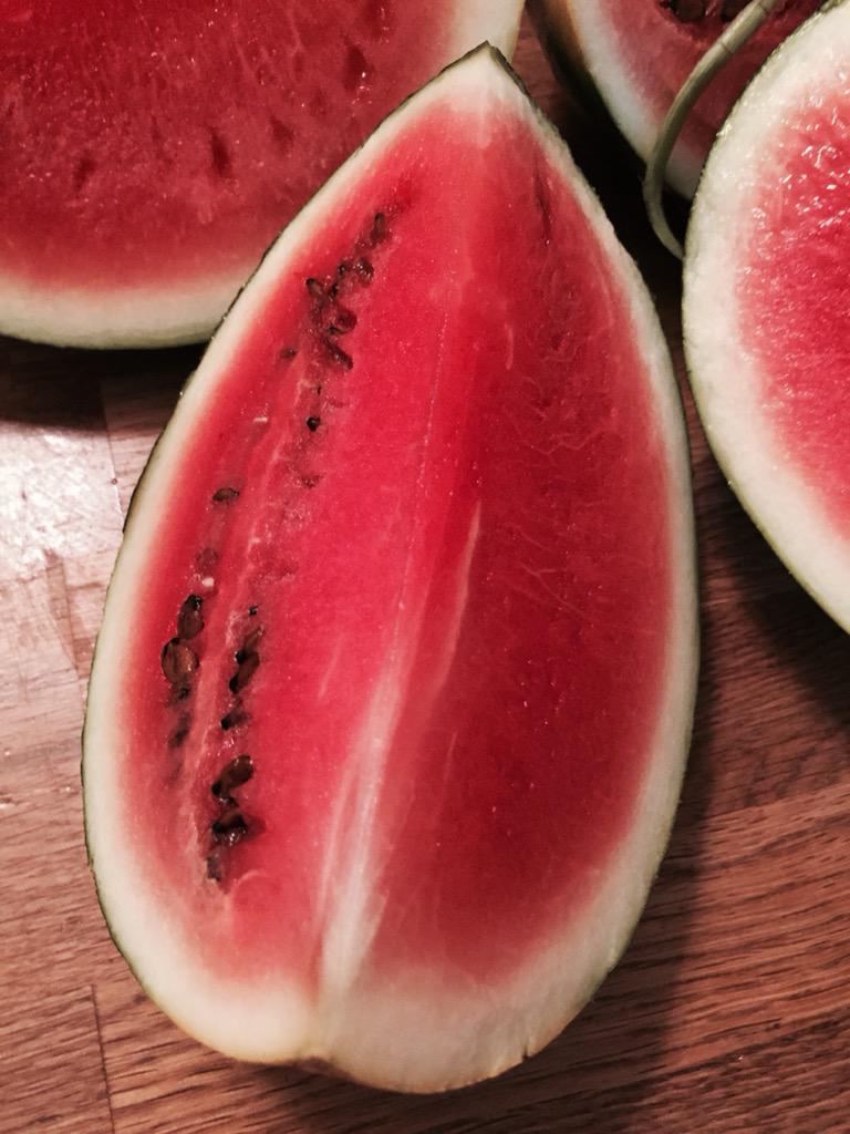 <a href="/HankWill/">Hank Will</a> Sugar Babies are ready. Not sure who is most happy, the chickens or me.