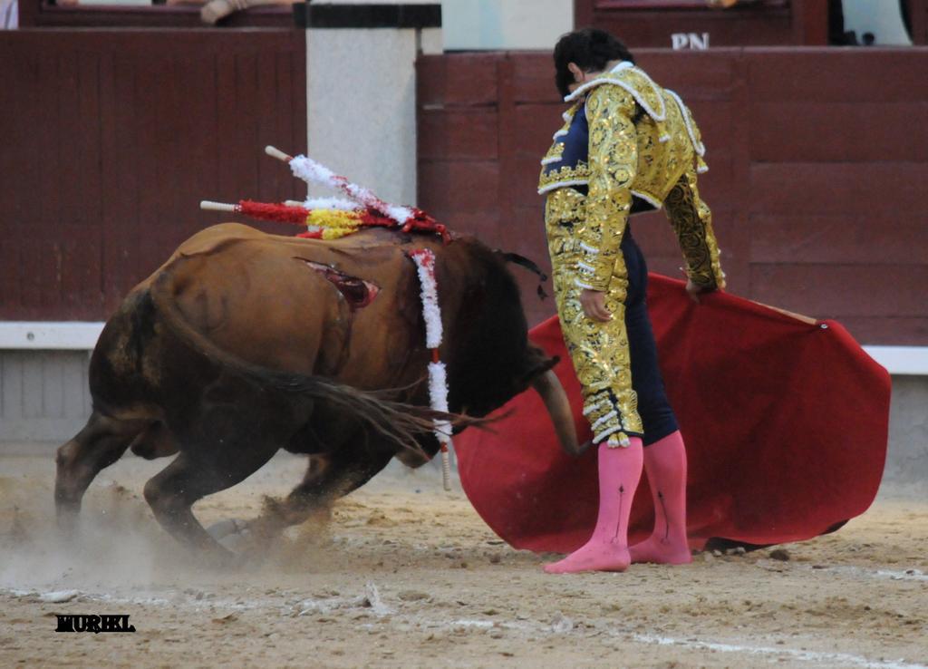 "El arte es la expresión de sí mismo luchando por ser absoluto." Fernando Pessoa