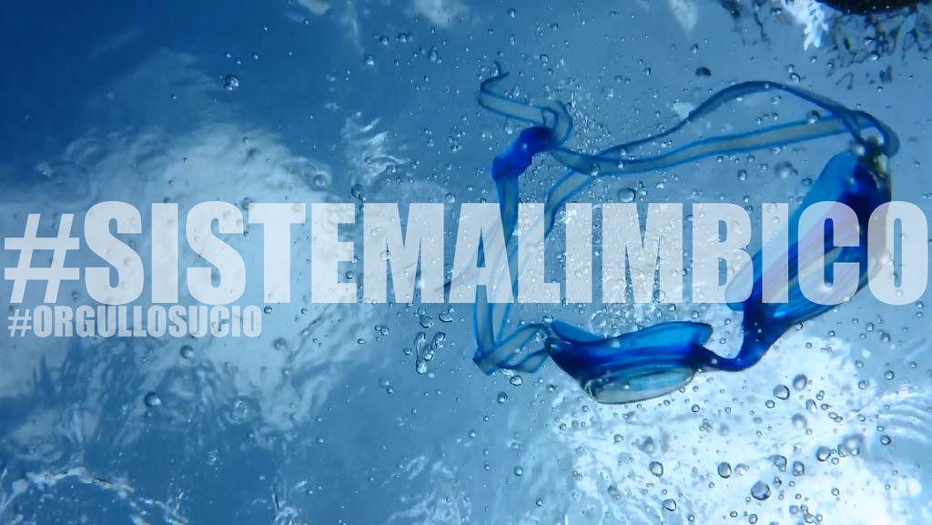 orgullosucio's tweet image. youtu.be/x4ygNaiWJLc

 #inedito #sistemalimbico #orgullosucio @jota_dejota está en el beat! #jotadejota