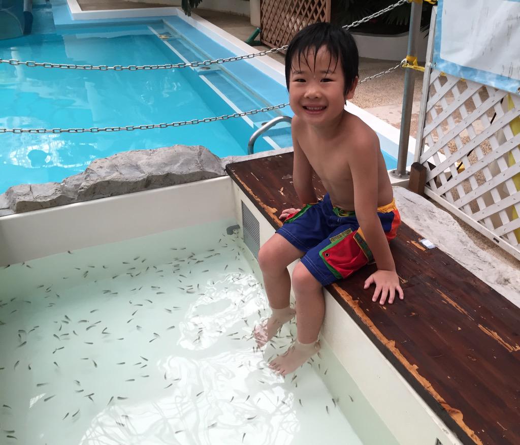 がっちゃんはハワイアンズでドクターフィッシュ（期間限定）も初めて