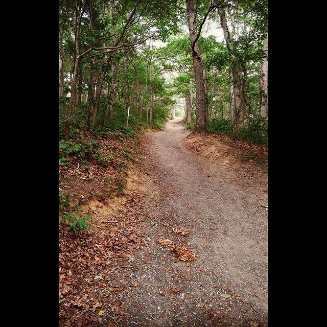 FitCalENGLISH's tweet image. @vickirobitaille posted This hill just keeps on going... 8 miles of tough hilly tempo today!
#crosscountrytraining …