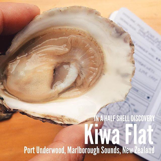 InAHalfShell's tweet photo. New #InAHalfShell Discovery! I'm a big fan of Ostrea Edulis aka Belons aka European Flat oโฆ http://t.co/mN2ydVkHHS http://t.co/ufGim1uhT6