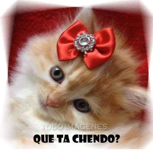 Gratuit Images Olga Ramirez Olgaramirez8371 Twitter dernière salutations