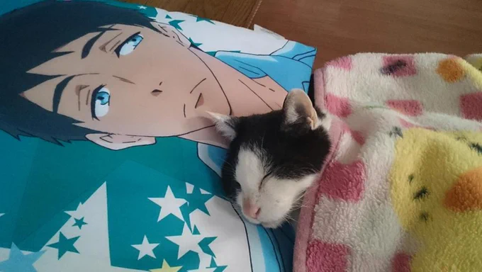 宗介とぼんきち 