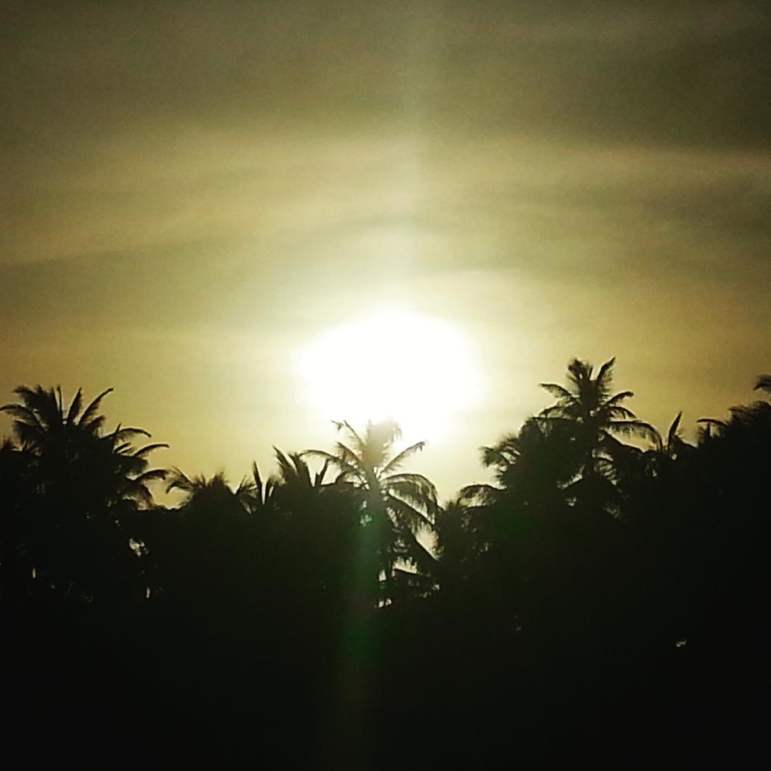 playagramer's tweet photo. Sun setting over the palm trees @IslaMujeres 
Awesome sight!
@CaribeMexico http://t.co/JzY6xTbnBF