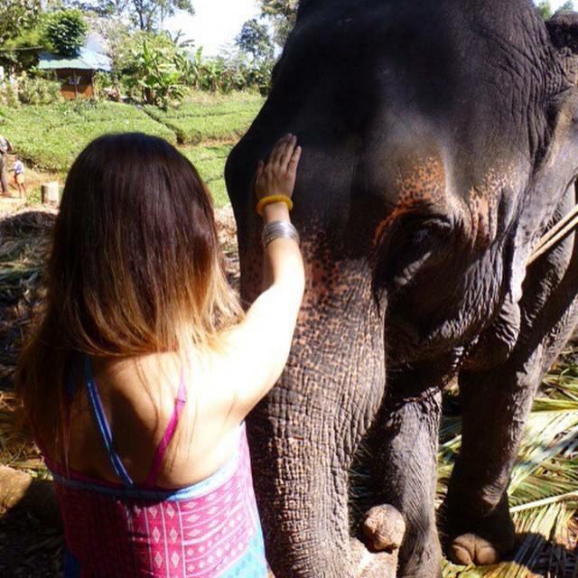 WellnessByHelen's tweet photo. Favorite moment: Feeling the soul of an elephant. Such a beautiful moment. @WorldNomads #wngreatescapes http://t.co/jxH95xJnOG