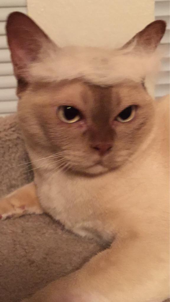 Not amused #Trump2016 #Trump