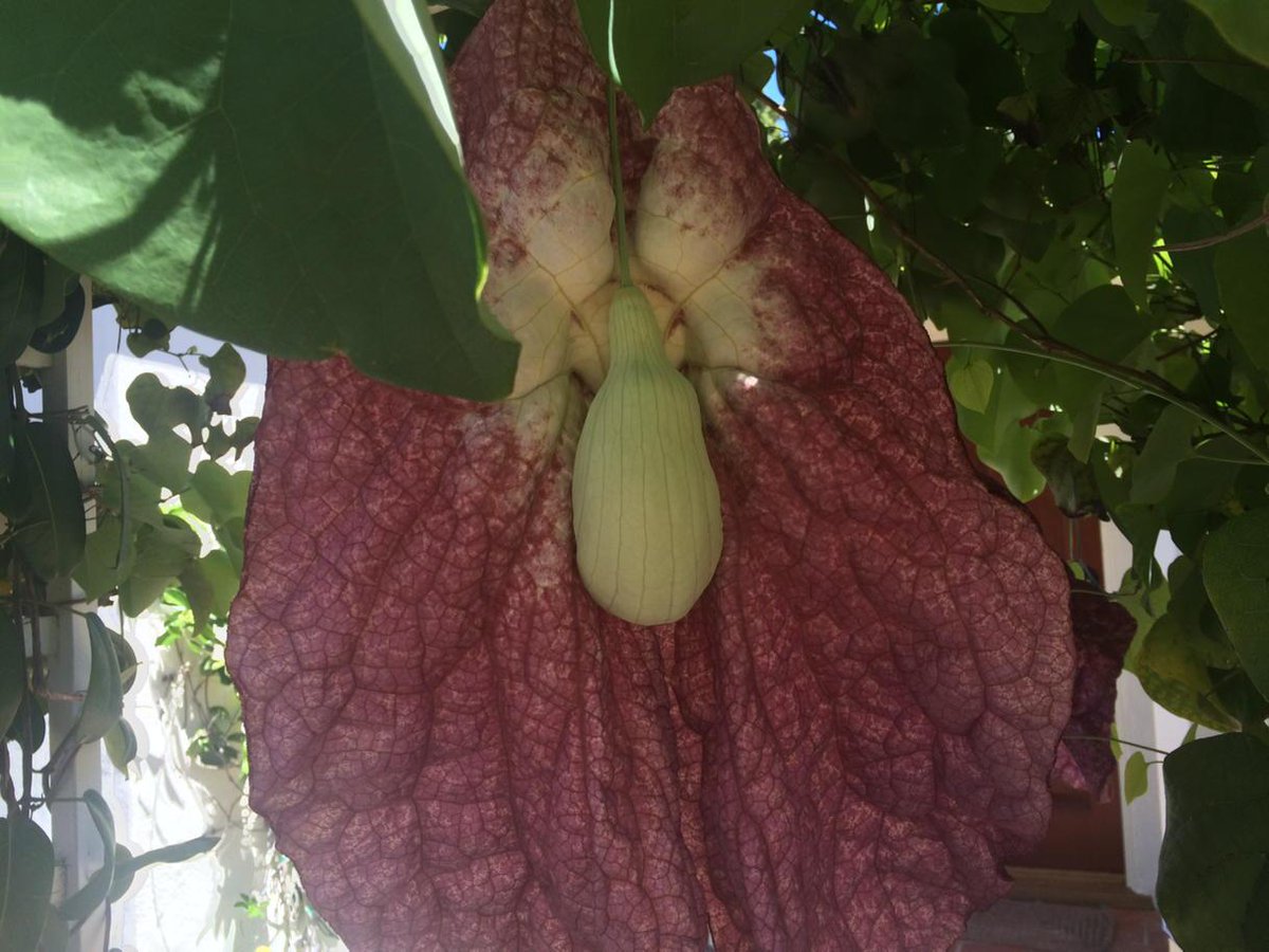 Lisa Jachno tweet media