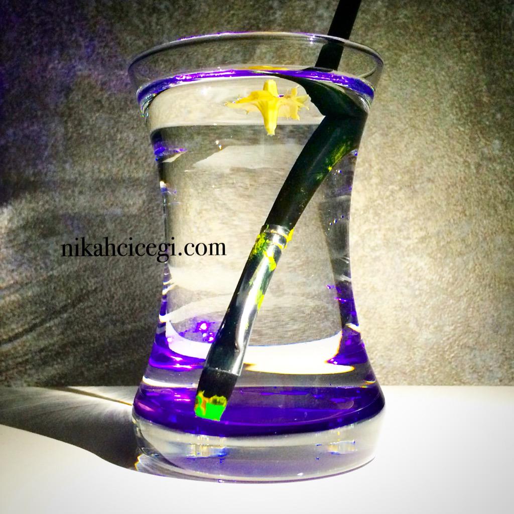 Canlı Minik Çiçekler (@nikahcicegi) on Twitter photo 