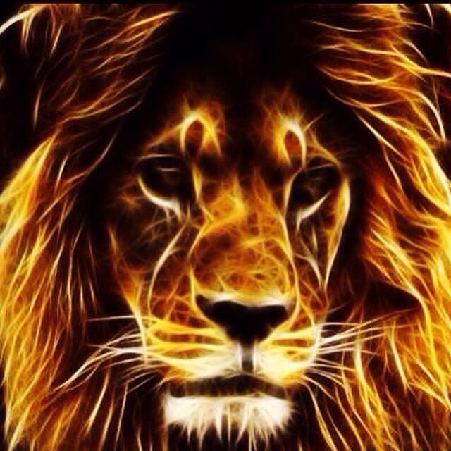 Navi4Real's tweet photo. EARTHSRONG BLESSMONTH
#BLESSMONTH
#LIONPOWER
#AUGUSTborn http://t.co/1dSw4hWvdv