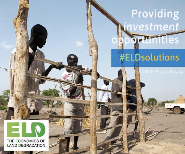 UNUniversity's tweet image. MT @UNUINWEH: #ELDsolutions social media kit now online - climate-smart land use. bit.ly/1P9Bjtg