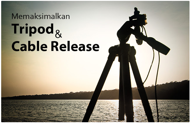 fotokitanet's tweet photo. #Tips Memaksimalkan Tripod dan Cable Release #BlogFK http://t.co/Wtlfokq2Qs http://t.co/9z9Hdz2oY5