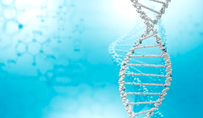 genomicgenetics's tweet photo. En Genomics Genetics usamos la tecnología Illumina, con la que analizamos hasta 95 polimorfismos del código #genético http://t.co/9HCsPxzQSB