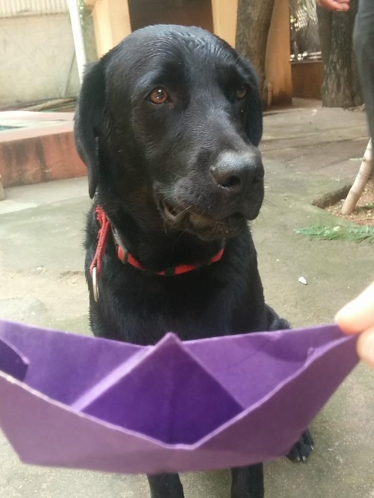 paperboatdrinks's tweet image. Hey, @HeyU_YesU_Die! @HectorBowWow  has a great fix for you! Why don't you #FloatABoat?