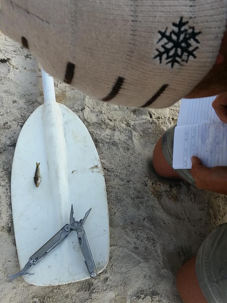 Into the Okavango (@intotheokavango) on Twitter photo .<a href="/goetzneef/">Götz Neef</a> improvising with a paddle for the morning fish research. #Okavango15 <a href="/pskelton6/">Paul Skelton</a> .<a href="/goetzneef/">Götz Neef</a> improvising with a paddle for the morning fish research. #Okavango15 <a href="/pskelton6/">Paul Skelton</a>
