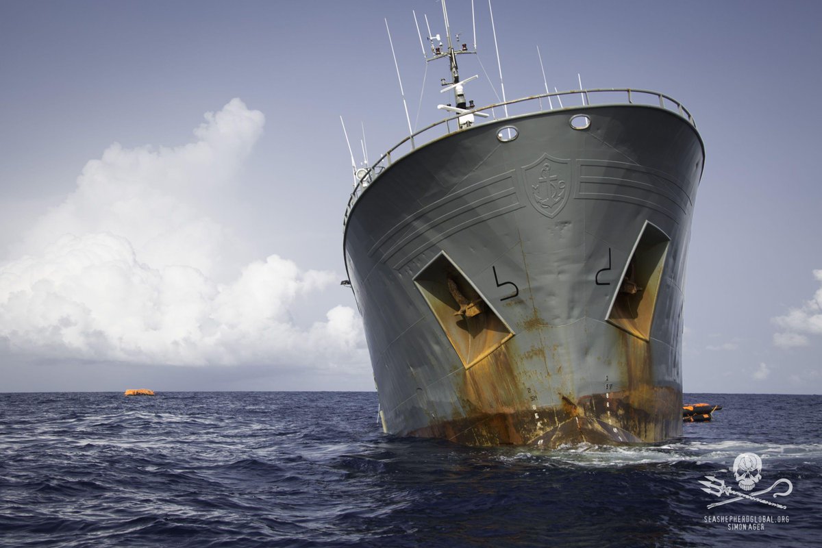 SeaShepherdBob's tweet photo. #NEWS 110 days and 3 oceans... the epic chase of a #Poacher: http://t.co/JbVqAMrQFo #OperationIcefish #SeaShepherd http://t.co/8WeIBCabnX