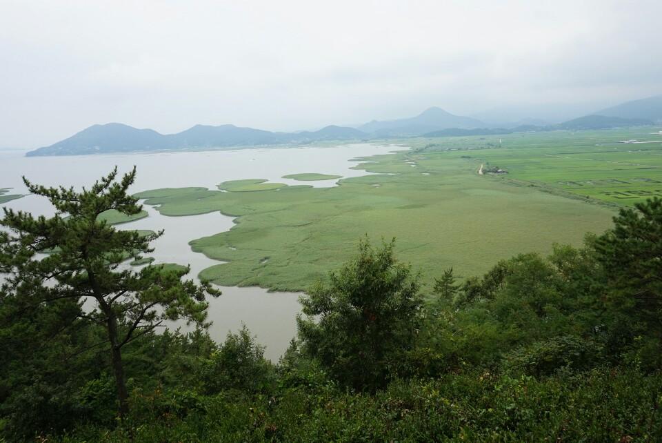 순천의 순천만생태공원에 다녀왔습니다.
참으로 자연의 가치를 느낄 수 있는 곳이네요.