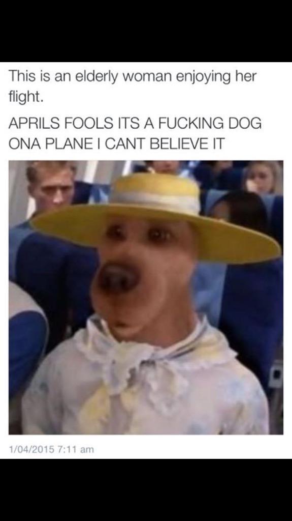 xCrumpy's tweet image. 