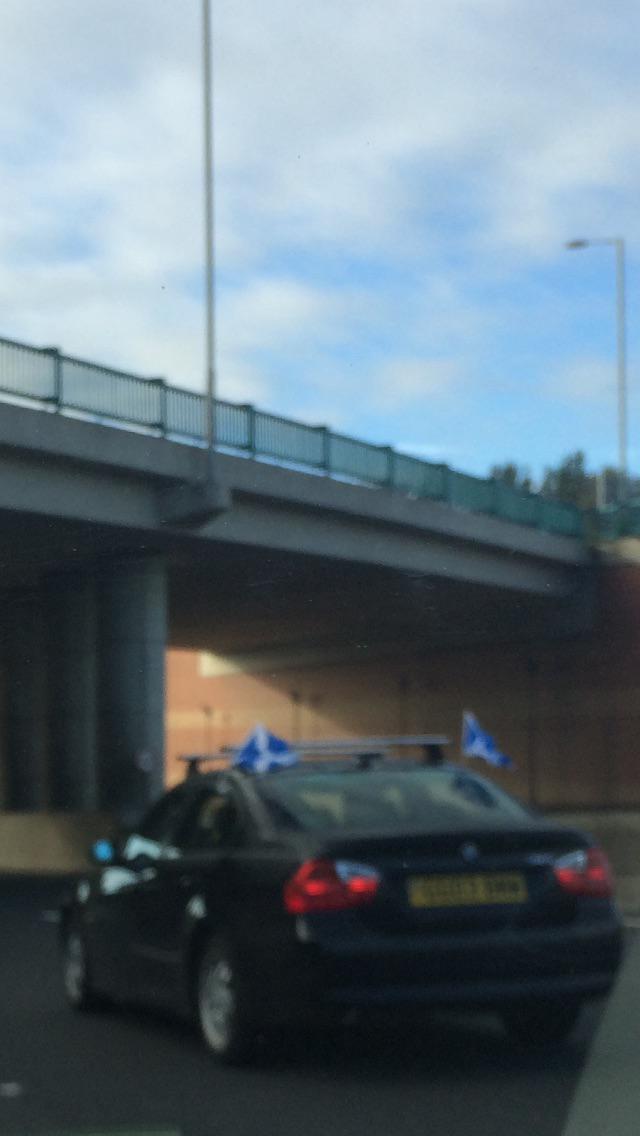 Pammyhorn's tweet image. This guy must have been up early too for the Scot vs Eng game!! #thistlearmy