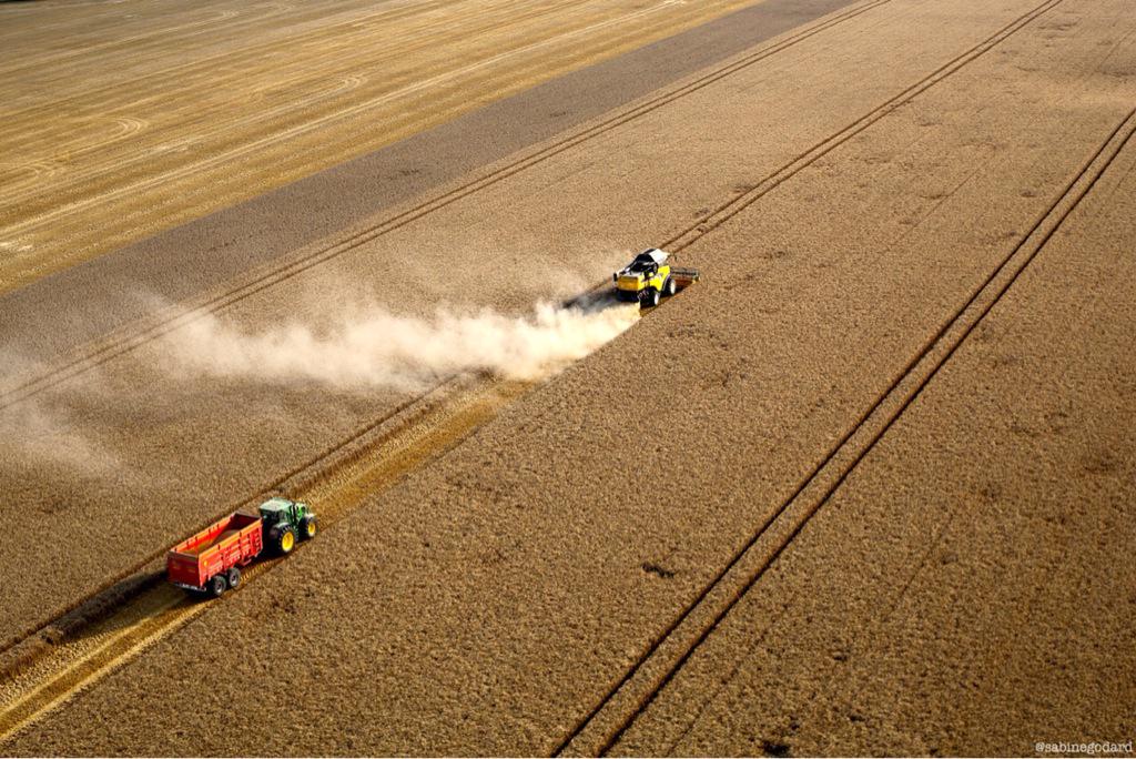sabinegodard's tweet photo. #Moisson2015 Dernière ligne droite, cette semaine, en Picardie maritime #FFback @jpgpress http://t.co/zsaCyzyQf2