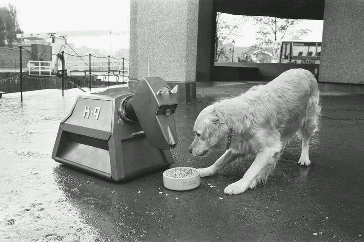 TheSassyDaleks's tweet photo. I love K-9 so much, really wanna see him return! #DoctorWho #k9 #K9isLife http://t.co/9FD0tW9PSg