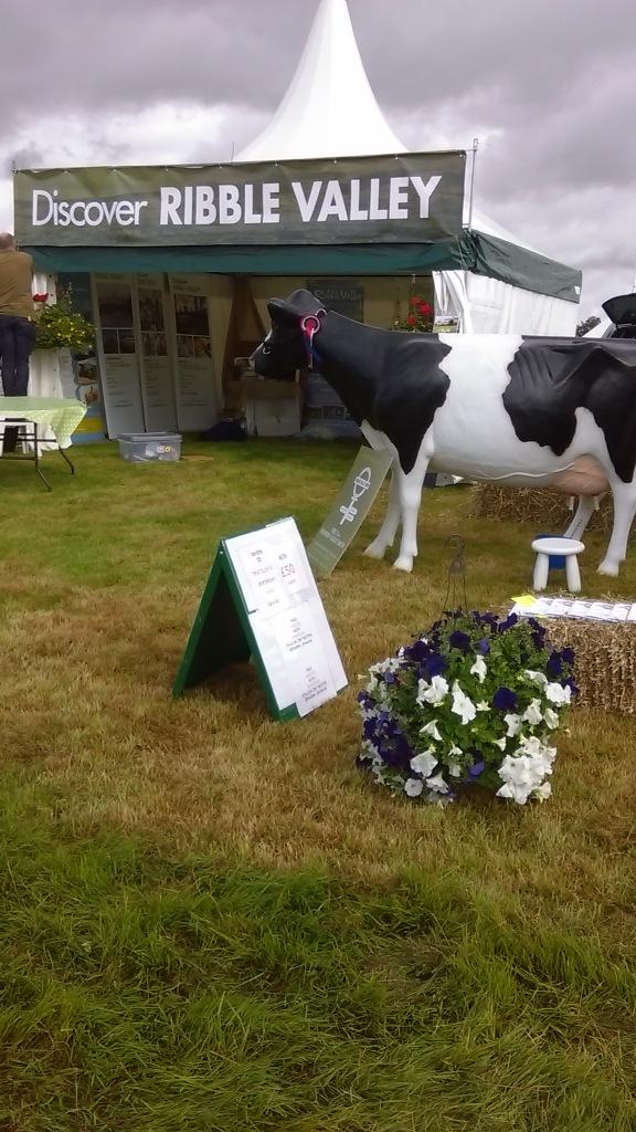 Matilda a Model Cow 🚜 tweet media