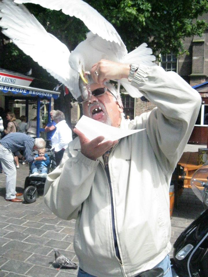 biodramote tweet media