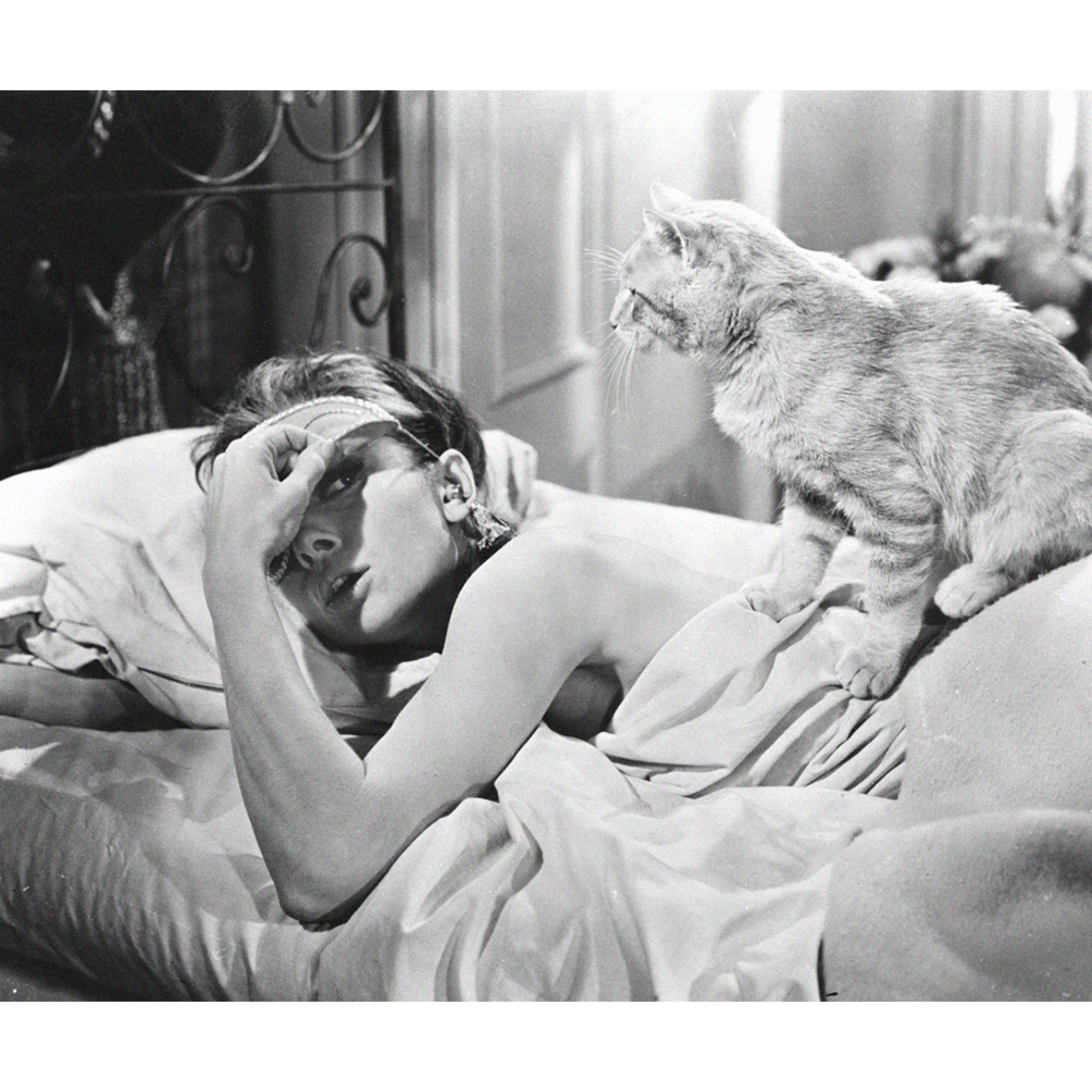 Fosterchile's tweet photo. #AudreyHepburn y el gato sin nombre en Breakfast at Tiffany's #cats #MundoFOSTER http://t.co/KWMAph8sYy