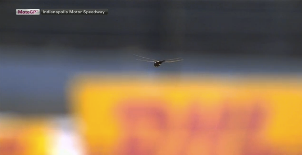 BritishMotoGP's tweet photo. National Geographic or MotoGP? #NatureShow #NatureSpeed
@IMS @MotoGP #MotoGP #IndyGP http://t.co/UnSraZs21e
