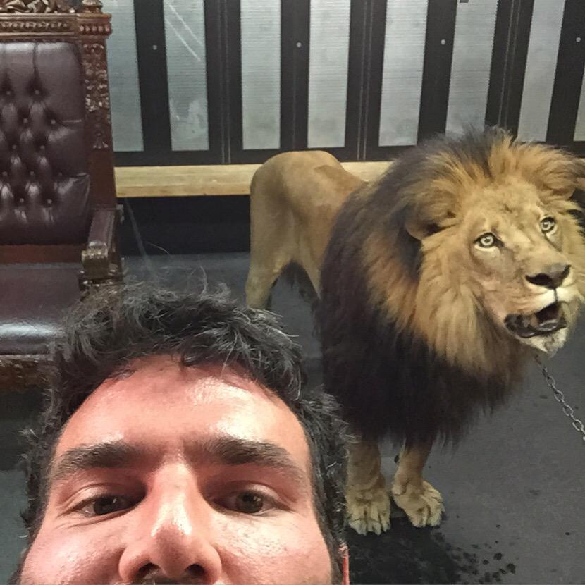 DanBilzerian's tweet photo. This is how you shoot a Lion...  #TheOnlyThingFakeInMyPicsAreTits http://t.co/ij9hoDr2Mt