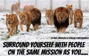 shanedeacon100's tweet image. Are your colleagues on the same journey @weinvoiceit #samejourney #Dreamforce #salesforce