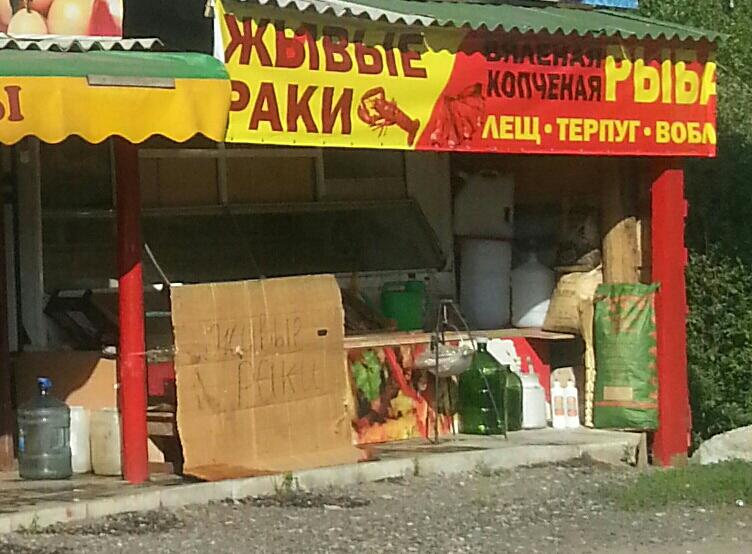 3239635Lissa's tweet photo. @Biznopolicy Интересно и кому же принадлежит эта палатка? http://t.co/x0YYwdwpg6