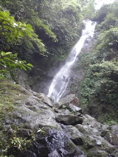 45Heti's tweet photo. Air terjun #gunungbetung#lamsel#tataan kondisi jalan lumayan bagi yg pemula @infolampung #RI70 @tettyyuliana10 http://t.co/CSwUAT5UQX