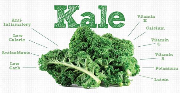 amirkingo's tweet photo. Kale: Good nutrition for you, just don't overdo http://t.co/UE60vACr8W http://t.co/gJFvIb3ZYg