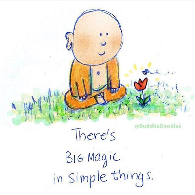 yogashalaCCS's tweet photo. Hay gran magia en lo simple 🐜🍀 ¡Buen viernes para todos, vive simple!
#viveenyoga #yogashalaccs #yssemanal #yogasha… http://t.co/zPx6a0bh4y