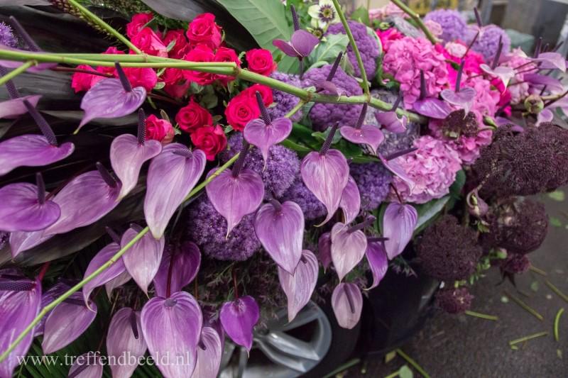 Florisoft tweet picture